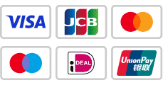 payment methods visasegypt.com